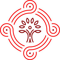 Salona Consulting